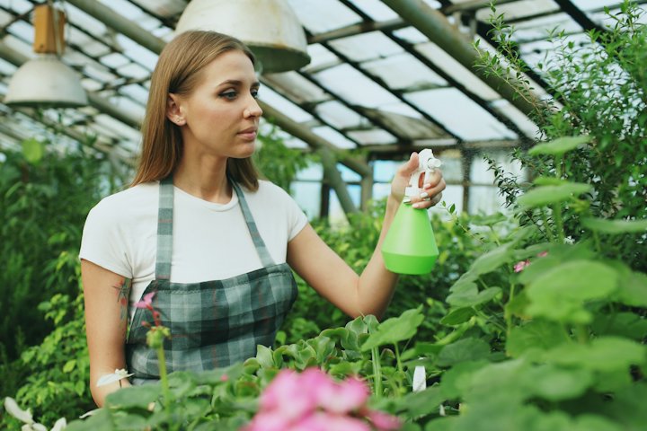 Limpieza de Plantas Fabriles y Naves